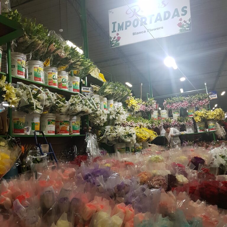 tienda1