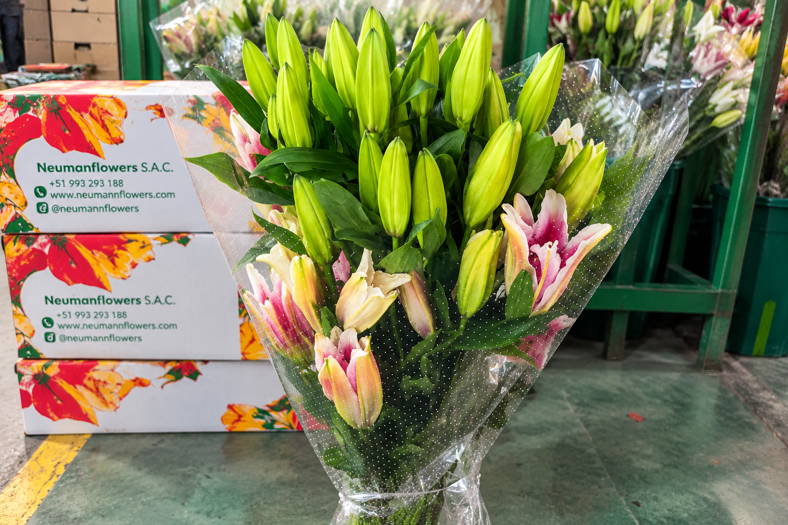 Ramo de lirios en mercado floral