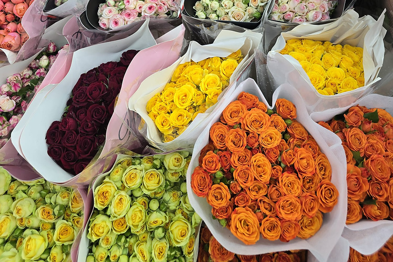 rosas_800x533_enfoque_inferior